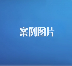 案例比例（500×462）